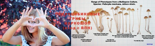 соль курить ск Баксан